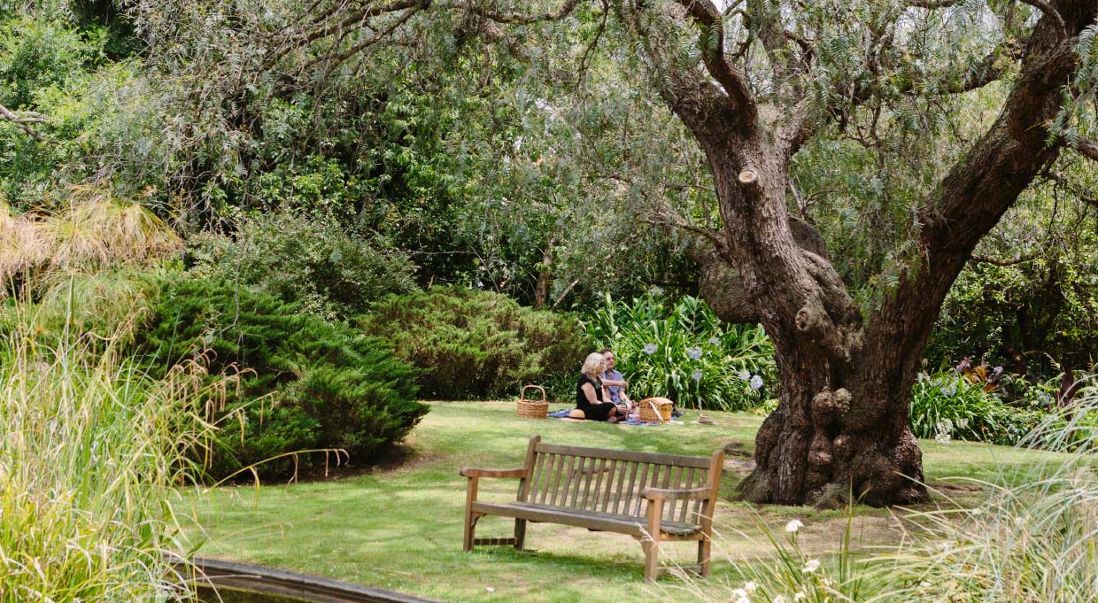 The Mill - Como House and Gardens